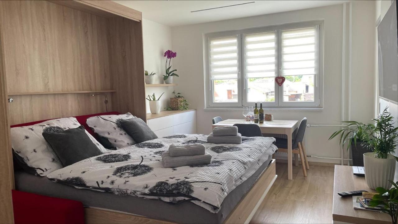 Apartman Na Zahradni كيجوف المظهر الخارجي الصورة